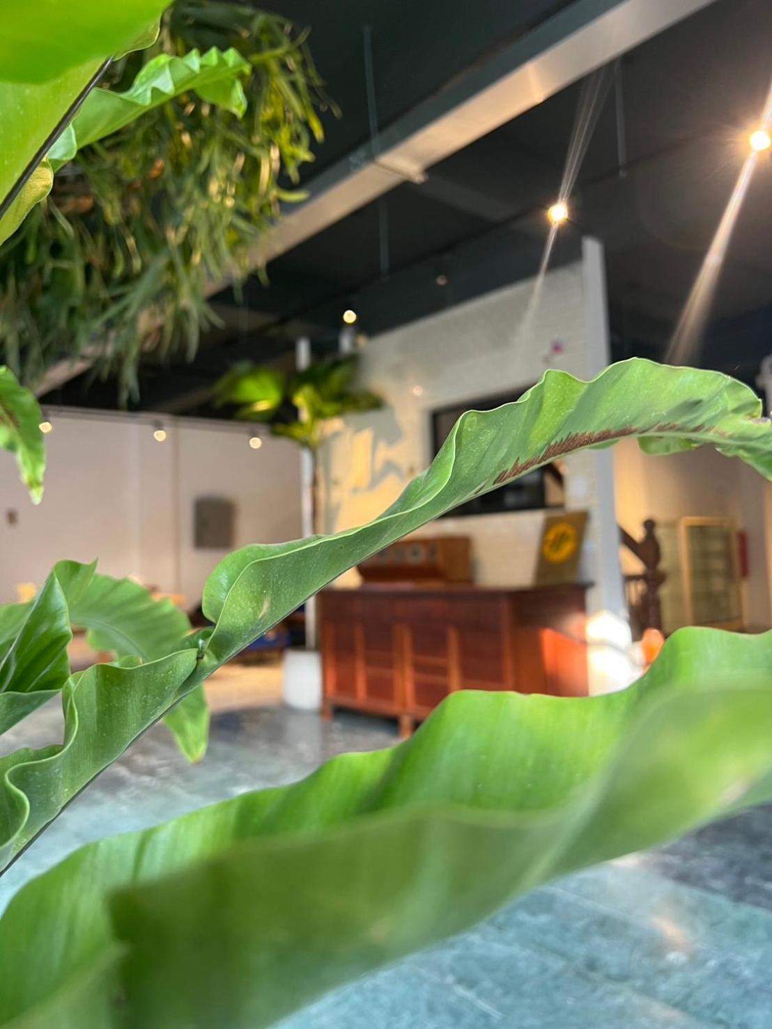 Yan Bin Hotel Tainan Bagian luar foto